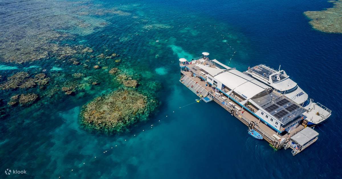 Great Barrier Reef Marine World Pontoon Cruise Tour from Cairns Klook